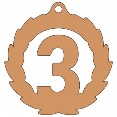 Медаль №3576 (3 место, диаметр 60 мм, металл, цвет бронза)