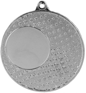 Медаль №131 (Диаметр 50 мм, металл, цвет серебро. Место для вставок: лицевая диаметр 25 мм, обратная сторона диаметр 46 мм)