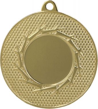 Медаль №859 (Диаметр 50 мм, металл, цвет золото. Место для вставок: лицевая диаметр 25 мм, обратная сторона диаметр 45 мм)