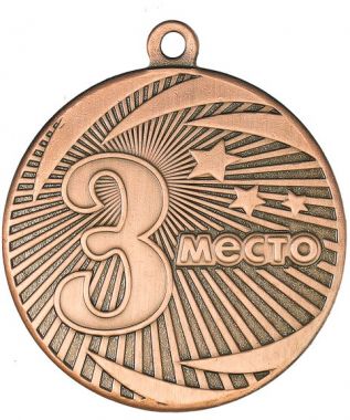 Медаль №2240 (3 место, диаметр 40 мм, металл, цвет бронза. Место для вставок: обратная сторона диаметр 35 мм)