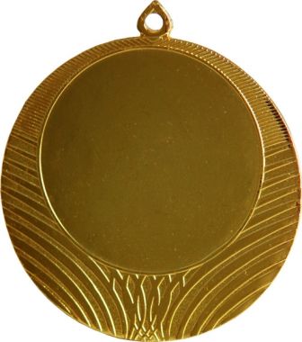 Медаль №8 (Диаметр 70 мм, металл, цвет золото. Место для вставок: лицевая диаметр 50 мм, обратная сторона диаметр 64 мм)