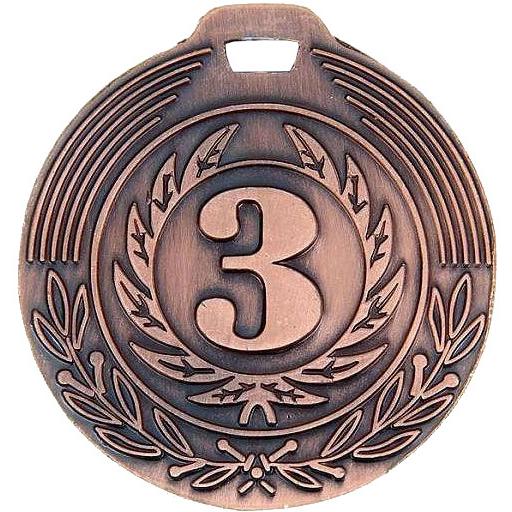 Медаль №2358 (3 место, диаметр 40 мм, металл, цвет бронза)