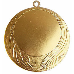 Медаль №2450 (Диаметр 70 мм, металл, цвет золото. Место для вставок: обратная сторона диаметр 65 мм)