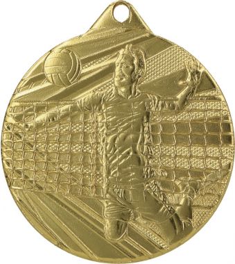 Медаль №946 (Волейбол, диаметр 50 мм, металл, цвет золото. Место для вставок: обратная сторона диаметр 45 мм)