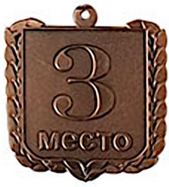 Медаль №2458 (3 место, размер 40x40 мм, металл, цвет бронза)