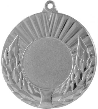 Медаль №68 (Диаметр 50 мм, металл, цвет серебро. Место для вставок: лицевая диаметр 25 мм, обратная сторона диаметр 46 мм)