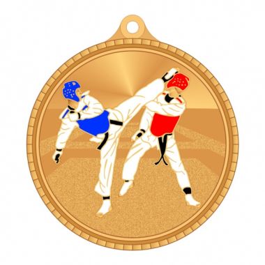Медаль №3611 (Тхэквондо, диаметр 50 мм, металл, цвет бронза. Место для вставок: обратная сторона диаметр 45 мм)