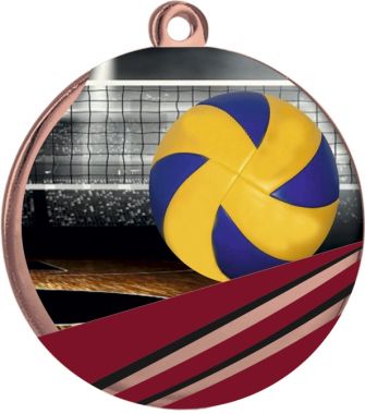 Медаль №2256 (Волейбол, диаметр 50 мм, металл, цвет бронза)