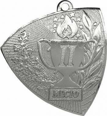 Медаль №3568 (2 место, размер 55x55 мм, металл, цвет серебро)