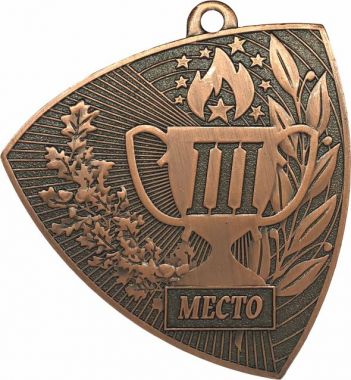 Медаль №3568 (3 место, размер 55x55 мм, металл, цвет бронза)
