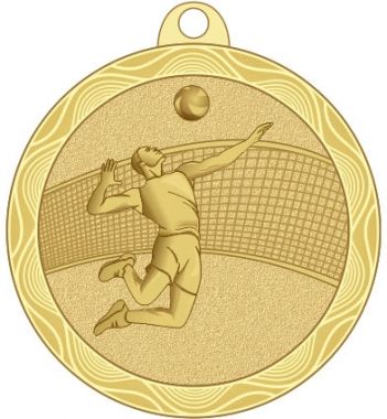 Медаль №2224 (Волейбол, диаметр 50 мм, металл, цвет золото. Место для вставок: обратная сторона диаметр 45 мм)