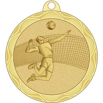 Медаль №2224 (Волейбол, диаметр 50 мм, металл, цвет золото. Место для вставок: обратная сторона диаметр 45 мм)