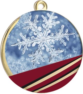 Медаль №875 (Зимние виды спорта, диаметр 50 мм, металл, цвет золото)