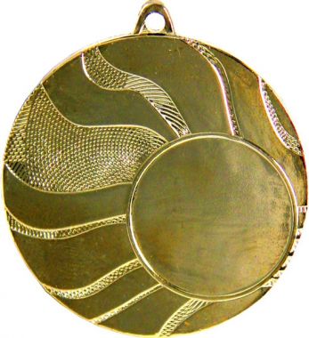 Медаль №11 (Диаметр 50 мм, металл, цвет золото. Место для вставок: лицевая диаметр 25 мм, обратная сторона диаметр 46 мм)