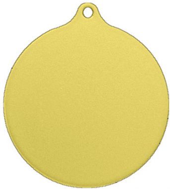 Медаль №2493 (Диаметр 80 мм, металл, цвет золото)