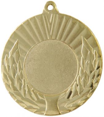 Медаль №68 (Диаметр 50 мм, металл, цвет золото. Место для вставок: лицевая диаметр 25 мм, обратная сторона диаметр 46 мм)