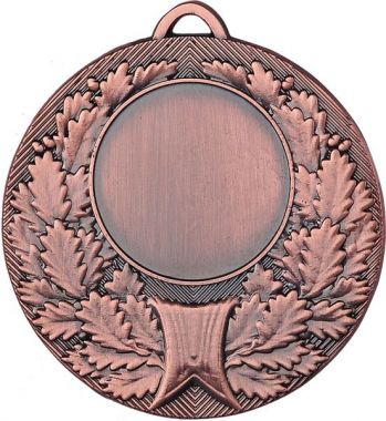 Медаль №192 (Диаметр 50 мм, металл, цвет бронза. Место для вставок: лицевая диаметр 25 мм, обратная сторона диаметр 45 мм)
