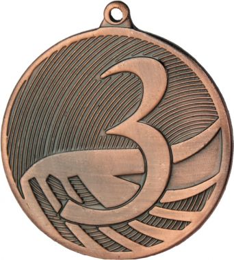 Медаль №3492 (3 место, диаметр 70 мм, металл, цвет бронза. Место для вставок: обратная сторона диаметр 65 мм)