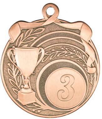 Медаль №2252 (3 место, диаметр 65 мм, металл, цвет бронза. Место для вставок: обратная сторона диаметр 50 мм)