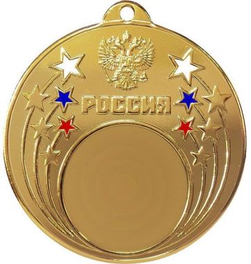 Медаль №194 (Диаметр 50 мм, металл, цвет золото. Место для вставок: лицевая диаметр 25 мм, обратная сторона диаметр 45 мм)