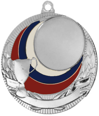 Медаль №160 (Диаметр 50 мм, металл, цвет серебро. Место для вставок: лицевая диаметр 25 мм, обратная сторона диаметр 47 мм)