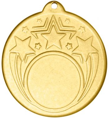 Медаль №2337 (Диаметр 50 мм, металл, цвет золото. Место для вставок: лицевая диаметр 25 мм, обратная сторона диаметр 45 мм)