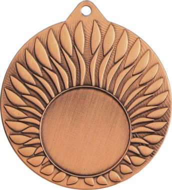 Медаль №3490 (Диаметр 50 мм, металл, цвет бронза. Место для вставок: лицевая диаметр 25 мм, обратная сторона диаметр 45 мм)
