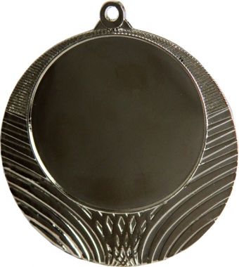 Медаль №8 (Диаметр 70 мм, металл, цвет серебро. Место для вставок: лицевая диаметр 50 мм, обратная сторона диаметр 64 мм)