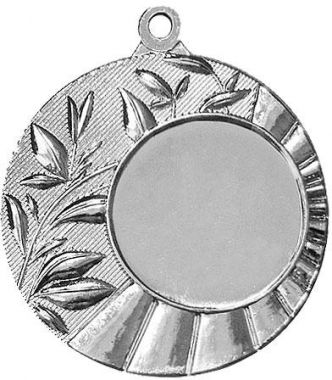Медаль №1234 (Диаметр 45 мм, металл, цвет серебро. Место для вставок: лицевая диаметр 25 мм, обратная сторона диаметр 40 мм)