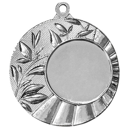 Медаль №1234 (Диаметр 45 мм, металл, цвет серебро. Место для вставок: лицевая диаметр 25 мм, обратная сторона диаметр 40 мм)