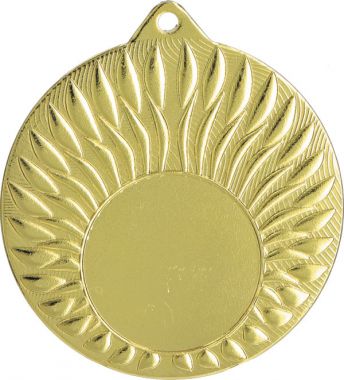 Медаль №3490 (Диаметр 50 мм, металл, цвет золото. Место для вставок: лицевая диаметр 25 мм, обратная сторона диаметр 45 мм)