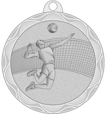 Медаль №2224 (Волейбол, диаметр 50 мм, металл, цвет серебро. Место для вставок: обратная сторона диаметр 45 мм)