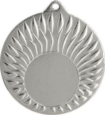 Медаль №3490 (Диаметр 50 мм, металл, цвет серебро. Место для вставок: лицевая диаметр 25 мм, обратная сторона диаметр 45 мм)