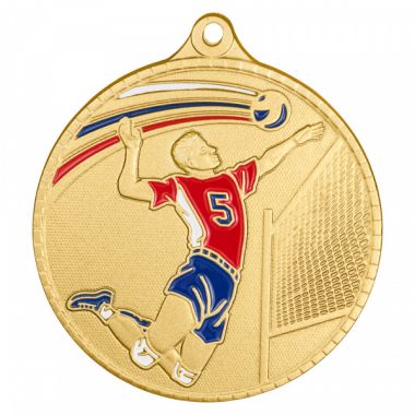 Медаль №3286 (Волейбол, диаметр 55 мм, металл, цвет золото. Место для вставок: обратная сторона диаметр 40 мм)