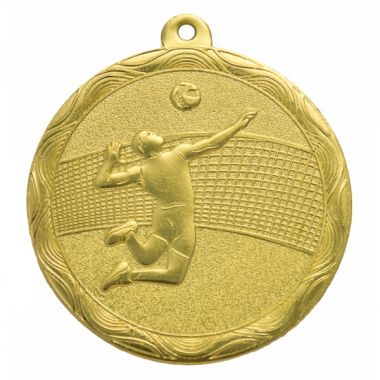 Медаль №3246 (Волейбол, диаметр 50 мм, металл, цвет золото. Место для вставок: обратная сторона диаметр 45 мм)
