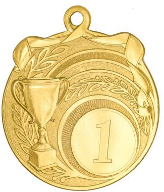 Медаль №2252 (1 место, диаметр 65 мм, металл, цвет золото. Место для вставок: обратная сторона диаметр 50 мм)