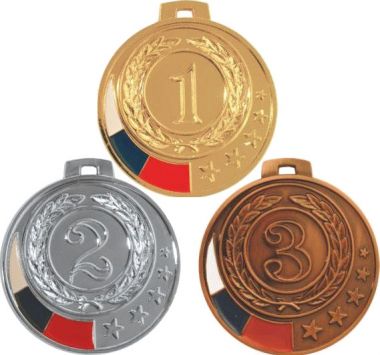 Комплект из трёх медалей №164 (1, 2, 3 место, диаметр 50 мм, металл. Место для вставок: обратная сторона размер по шаблону)