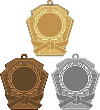 Комплект из трёх медалей MN2467 (Каратэ, размер 53x50 мм)