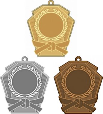 Комплект из трёх медалей №2467 (Каратэ, размер 50x53 мм, металл. Место для вставок: лицевая диаметр 25 мм, обратная сторона размер по шаблону)