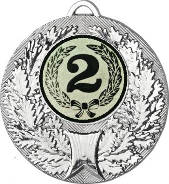 Медаль №10-192 (2 место, диаметр 50 мм (Медаль цвет серебро плюс жетон для вклейки) Место для вставок: обратная сторона диаметр 45 мм)