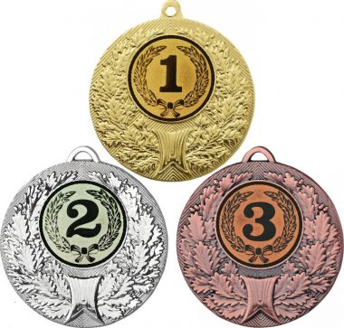 Комплект медалей №10-192 (1, 2, 3 место, диаметр 50 мм (Три медали плюс три жетона для вклейки) Место для вставок: обратная сторона диаметр 45 мм)