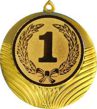Медаль №10-1302 (1 место, диаметр 56 мм (Медаль цвет золото плюс жетон для вклейки) Место для вставок: обратная сторона диаметр 50 мм)