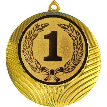 Медаль №10-1302 (1 место, диаметр 56 мм (Медаль цвет золото плюс жетон для вклейки) Место для вставок: обратная сторона диаметр 50 мм)