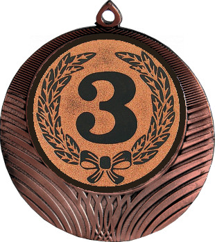 Медаль №10-8 (3 место, диаметр 70 мм (Медаль цвет бронза плюс жетон для вклейки) Место для вставок: обратная сторона диаметр 64 мм)