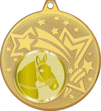 Медаль №1020-27 (Конный спорт, диаметр 45 мм (Медаль цвет золото плюс жетон для вклейки) Место для вставок: обратная сторона диаметр 39 мм)