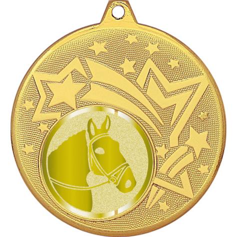 Медаль №1020-1274 (Конный спорт, диаметр 45 мм (Медаль цвет золото плюс жетон для вклейки) Место для вставок: обратная сторона диаметр 40 мм)