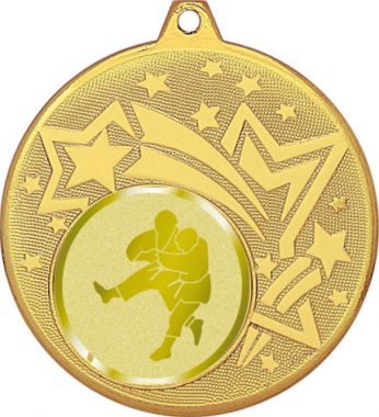 Медаль №1025-1274 (Борьба, диаметр 45 мм (Медаль цвет золото плюс жетон для вклейки) Место для вставок: обратная сторона диаметр 40 мм)
