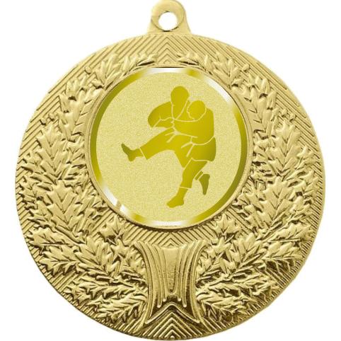 Медаль №1025-192 (Борьба, диаметр 50 мм (Медаль цвет золото плюс жетон для вклейки) Место для вставок: обратная сторона диаметр 45 мм)
