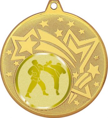 Медаль №1028-27 (Каратэ, диаметр 45 мм (Медаль цвет золото плюс жетон для вклейки) Место для вставок: обратная сторона диаметр 39 мм)