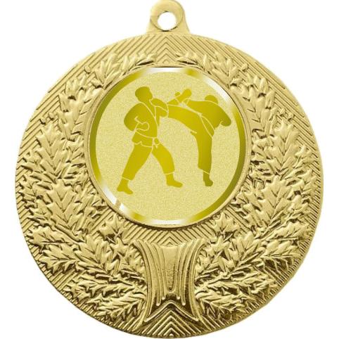 Медаль №1028-192 (Каратэ, диаметр 50 мм (Медаль цвет золото плюс жетон для вклейки) Место для вставок: обратная сторона диаметр 45 мм)